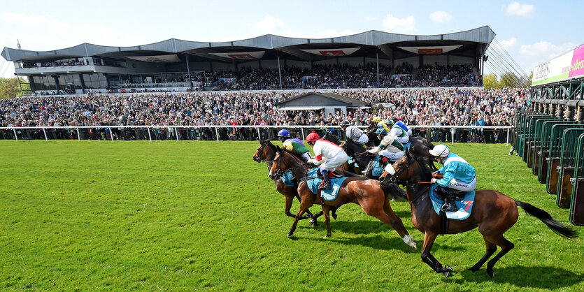 Jockeys starten mit ihren Pferden auf der Galopp-Rennbahn