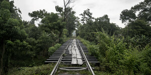 Eine Eisenbahnschiene durch einen Urwald.