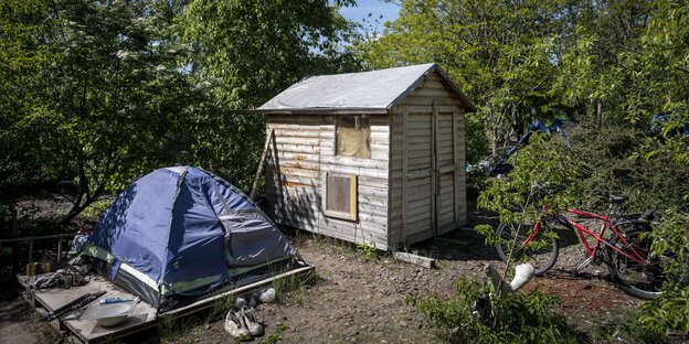 Ein Zelt und ein kleiner Geräteschuppen zwischen Bäumen