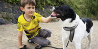 Ein Junge mit BVB Dortmund Trikot streichelt einen Hund.