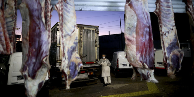 Ein Schlachter steht im Hintergrund vor einem LKW, im Vordergrund hängen Tierhälften