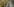 Ein Arbeiter in einer Lagerhalle von Amazon schiebt Pakete auf ein Fließband