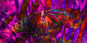 Ein Schmetterling vor psychedelisch gefärbtem Hintergrund