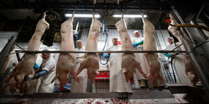 Arbeiter zerlegen Schweinehälften