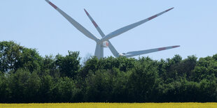 Windräder hinter einem Rapsfeld und Bäumen.