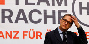 Heinz Christian Strache vor einer Plakatwand