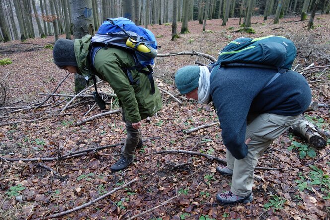 Zwei Menschen, über den Waldboden gebeugt