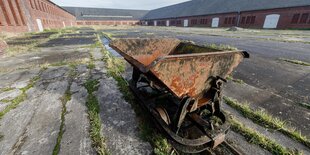 Eine Lohre steht auf dem Gelände des Klinkerwerks im ehemaligen Konzentrationslager (KZ) Neuengamme.