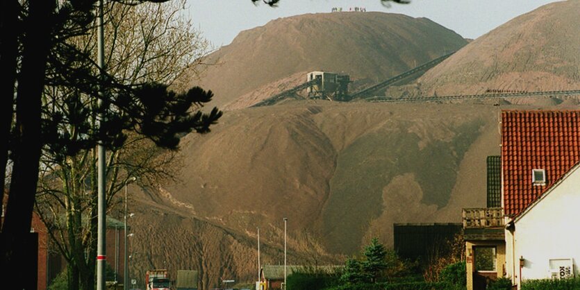 Blick auf die Kalihalde, im Vordergrund ein Wohnviertel.