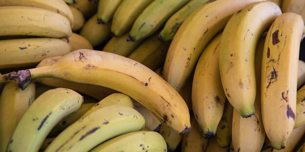 Mehrere Bananen liegen durcheinander