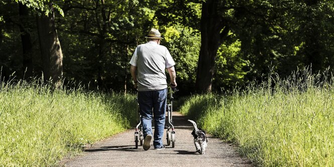 ein Mann läuft mit einem Hund und einem Rollator auf einem Weg zwischen Wiesen