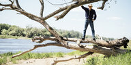 Mann steht zwischen den Ästen eines umgeknickten Baumes, dahinter fließt die Elbe