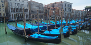 Die Gondeln in Venedig liegen in einer Reihe am Ufer.