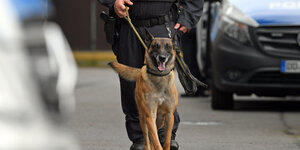 Jemand führt einen Polizei-Schäferhund an der Leine
