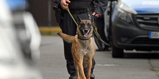 Jemand führt einen Polizei-Schäferhund an der Leine