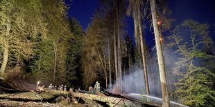 Feuerwehr löscht im Wald