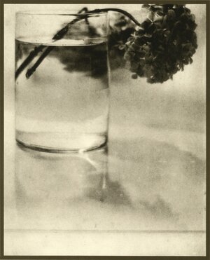 Stillleben mit Blume in Wasserglas Stillleben mit Blume in Wasserglas