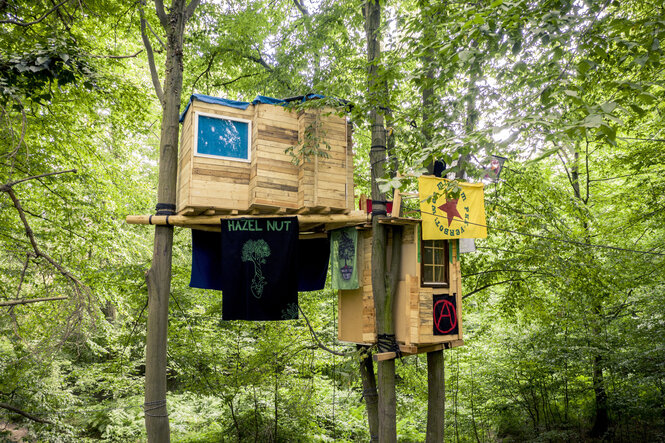 Ein Baumhaus in einem Wald