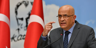 Enis Berberoglu