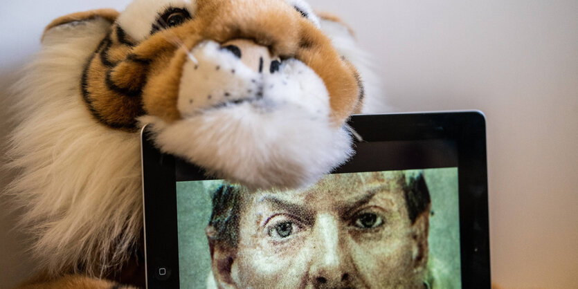 ein Stofftiger guckt von hinten über ein Tablet