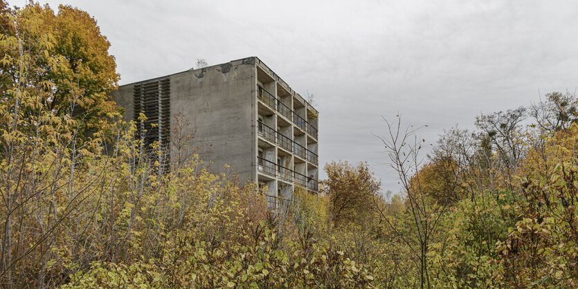 Ruinöses Wohnhaus in Wünsdorf inmitten wuchernder Natur