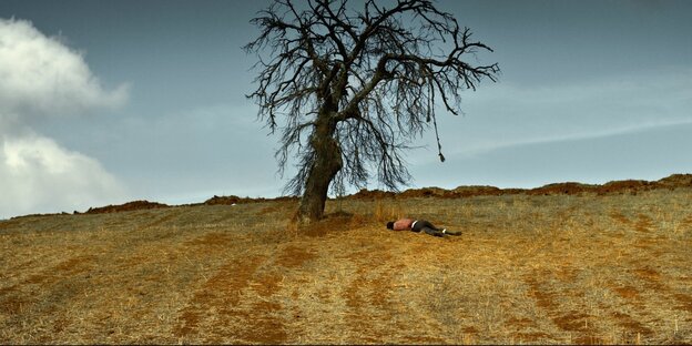 Ein abgemähtes Feld, darauf ein einzelner Baum unter dem ein Mann lang hingestreckt schläft