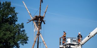 Mit einem Holzvollernter wird ein «Dreifuß» von Umweltaktivisten im Hambacher Wald abgerissen. Die Polizei hat in dem von Umweltaktivisten besetzten Wald mit weiteren Aktionen begonnen. F