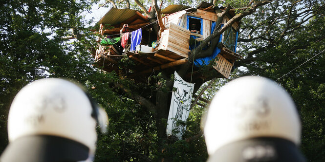 Polizisten stehen im Hambacher Forst am Fuße eines Baumhauses im Hambacher Forst