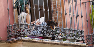 Welttag des Buches zur Coronazeit in Sevilla, Spanien