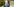 Eine junge langhaarige Person mit Gesichtsmaske