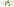 Kresse, Borretsch, Sauerampfer, Kerbel, Pimpinelle, Schnittlauch, Petersilie vor weißem Hintergrund