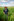 Landarbeiter Simão mit Kopfbedeckung steht inmitten eines grünen Felds. Im Hintergrund blauer Himmel mit Wolken