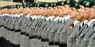 Viele Bundeswehrsoldaten stehen stramm in einer Reihe