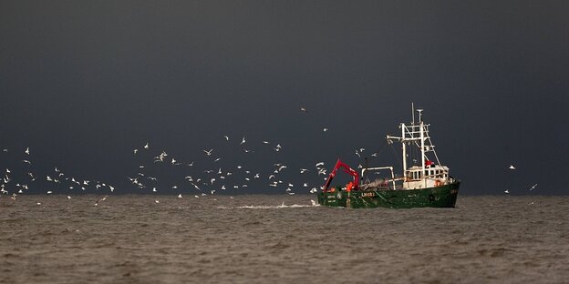 Ein Fischerboot auf dem Meer wird von Möwen umkreist
