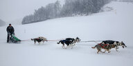 Michael Ruopp fährt mit einem von Huskies gezogenen Schlitten durch die verschneite Landschaft auf der Schwäbischen Alb