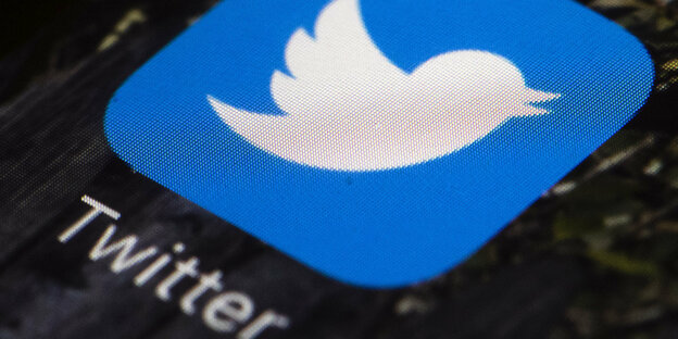Twitter-Symbol, ein weißer Vogel auf blauem Grund.