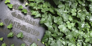 Efeu überwuchert am Mittwoch (25.06.2003) auf dem jüdischen Friedhof in Berlin einen umgestürzten Grabste