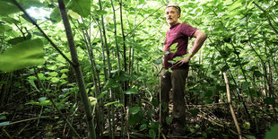 Todde Kemmerich steht im Hambacher Wald