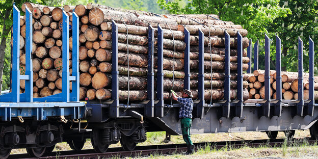 Ein Mann sichert verladene Baumstämme auf einem Güterzug