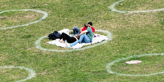 Menschen sitzen auf einer Wiese am Rheinufer in aufgemalten Kreisen