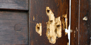 Eine Holztür mit mehreren Einschusslöchern