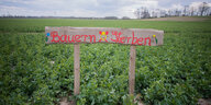 Handschriftliches Schild auf zwei Pfählen in einem Kartoffelacker: "Bauern sterben"