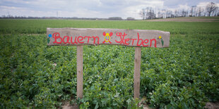 Handschriftliches Schild auf zwei Pfählen in einem Kartoffelacker: "Bauern sterben"