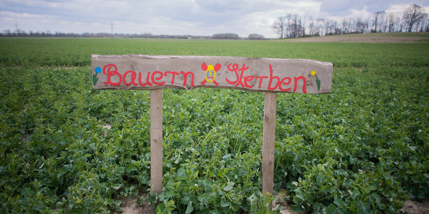 Handschriftliches Schild auf zwei Pfählen in einem Kartoffelacker: "Bauern sterben"