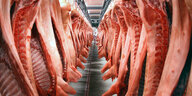 Schweinehälfzten hängen in einem Kühlhaus