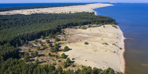 ein Landzunge mit Wald und weißen Flächen ragt in die Ostsee