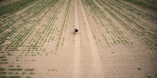 Trockened Feld von oben fotografiert