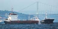 Das Frachtschiff Rhosus vor Istanbul, 2010