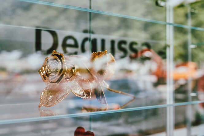 Eilne goldene Rose hinter einem Schaufenster