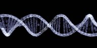 Visualisierung einer DNA